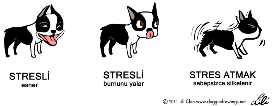 kopek-stresli