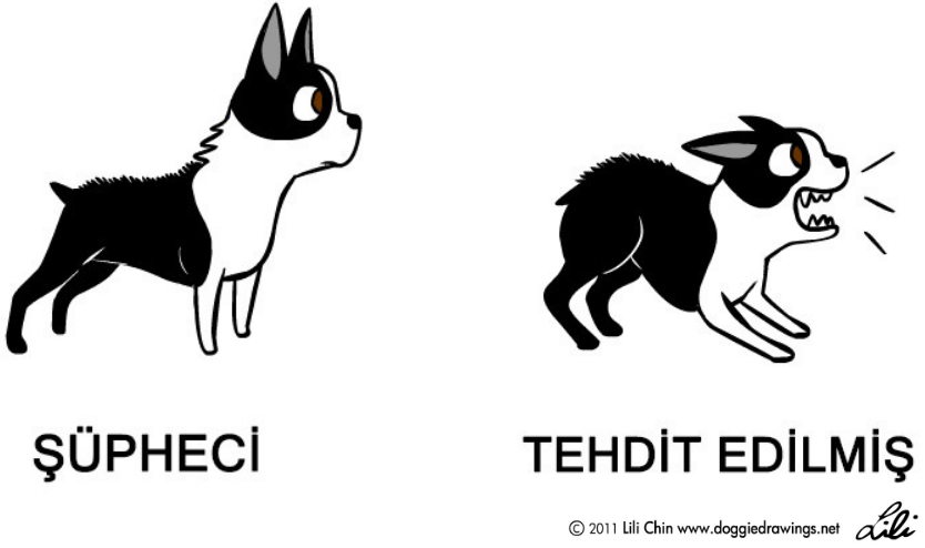 kopek-tehdit-edilmis
